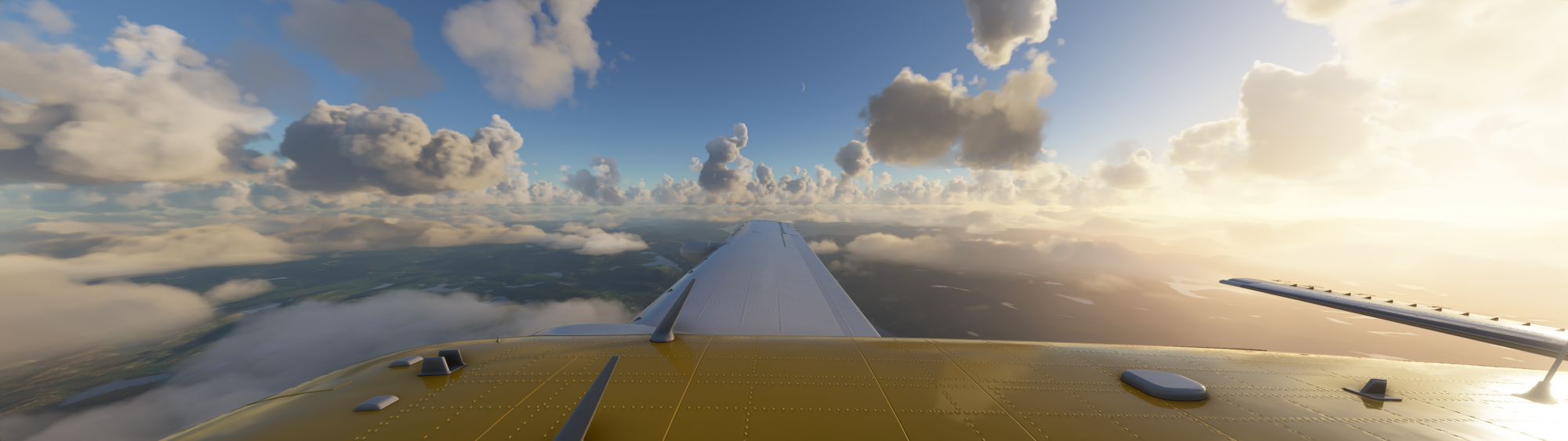 601004629_MicrosoftFlightSimulatorScreenshot2020_08.24-00_14_34_90.png.9c3e06abdcdf08062e92c82ad9df830c.png