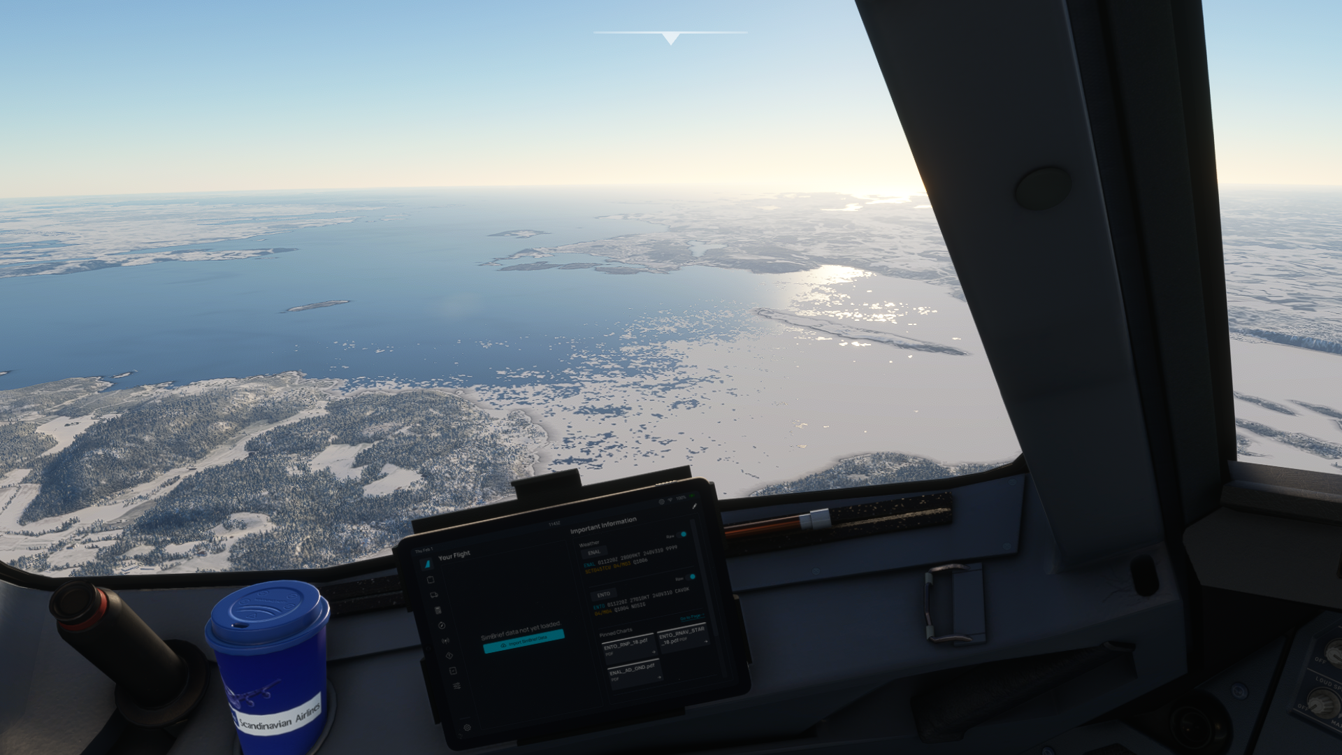 MicrosoftFlightSimulatorScreenshot2024_02.01-13_52_40_07.png.ae6f3a8090576f2061e18ce88490bdc5.png